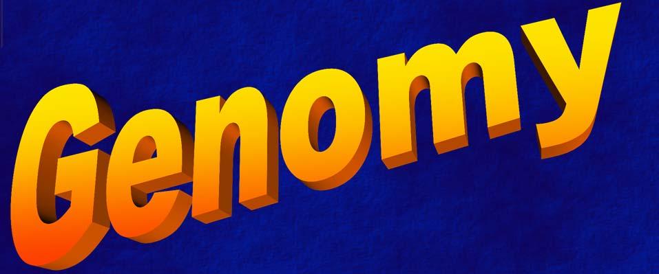 Genomy 1. Co to jest genom? 2. Wielkość genomu Ilość DNA Liczba nukleotydów 3. Gęstość genów 4.
