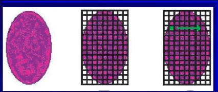 2 Gbp 1 TB = 1000 GB Konwersja par zasad na masę: 1 kbp: 10-18 g 10-6 pg (attogram) 1 Mbp: 10-15 g 10-3 pg (femtogram) 1 Gbp: 10-12 g 1 pg (pikogram) Genomy