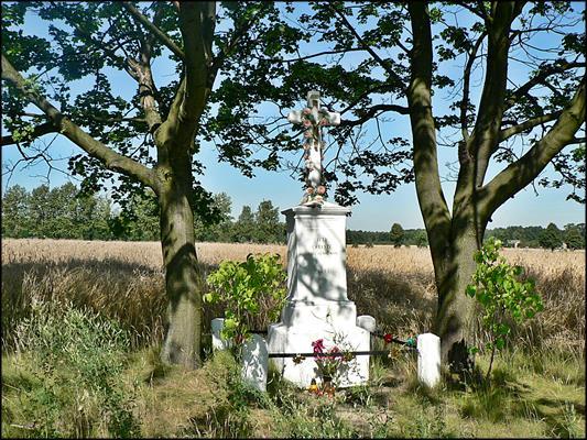 (lato) -