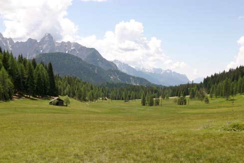 Fot 93. Torfowiska Danta di Cadore w Dolomitach (fot. D. Horabik).