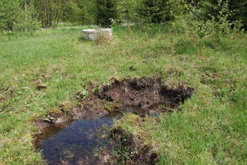 Fot. 48. Torfowiska alkaliczne stanowią niekiedy źródło dobrej jakości wody pitnej.
