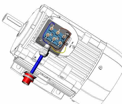 Motore doppia polarità a doppio avvolgimento Silnik dwubiegunowy z podwójnym uzwojeniem szybkie połączenie