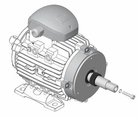 Manual delphi