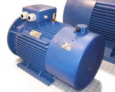 50Hz del motore, si impone il montaggio della servoventilazione adeguata, in quanto sono troppe le variabili in gioco per la determinazione dei vari servizi termici possibili e quindi le temperature
