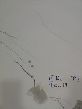 Zdjęcie 11.