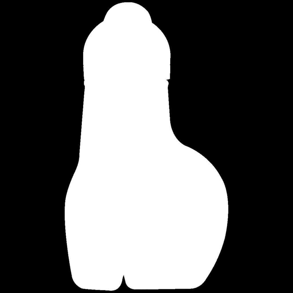 CHIVA 12