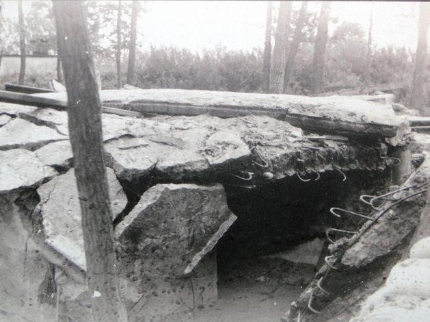 Zniszczona Warownia nr 5 z odspojoną ścianą boczną oraz widocznym fragmentem posadzki pomieszczenia bojowego fot.