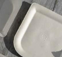 WYTŁOKI Z TRZCINY CUKROWEJ Bagasse to idealna alternatywa dla środowiska. Bagasse - to materiał wytworzony z odpadów produkcyjnych cukru.