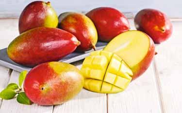 5 49 W APLIKACJI 6 99 1 kg