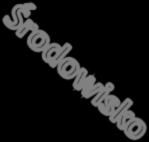Istota strategii = kompozycja interesów (i celów) oraz środków (zasobów) i sposobów, warunkowana przez środowisko (zewnętrzne i