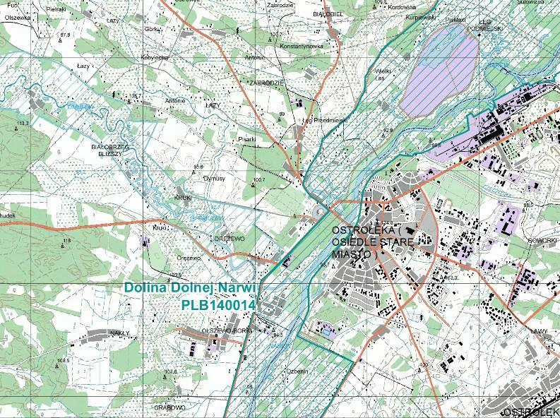 Obszar Specjalnej Ochrony Ptaków - Dolina Dolnej Narwi PLB 140014 najbardziej wysunięta w kierunku tego obszaru granica opracowania (zachodnia) znajduje się w odległości około 1,1 km na