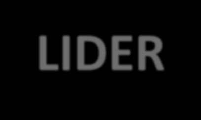 LIDER Program