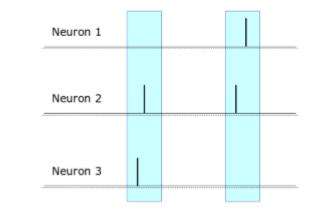 Kodowania populacyjne - kodowanie synchroniczne Sieć wnioskuje na podstawie impulsów od grupy neuronów w danym,