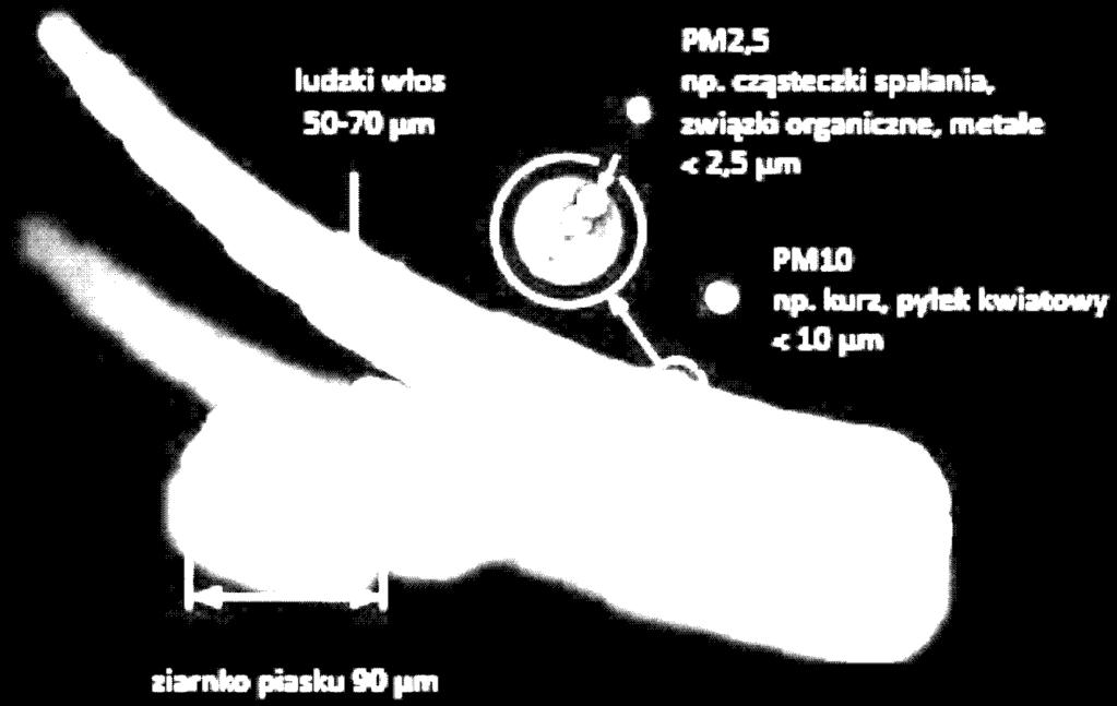 Co to jest pył zawieszony?