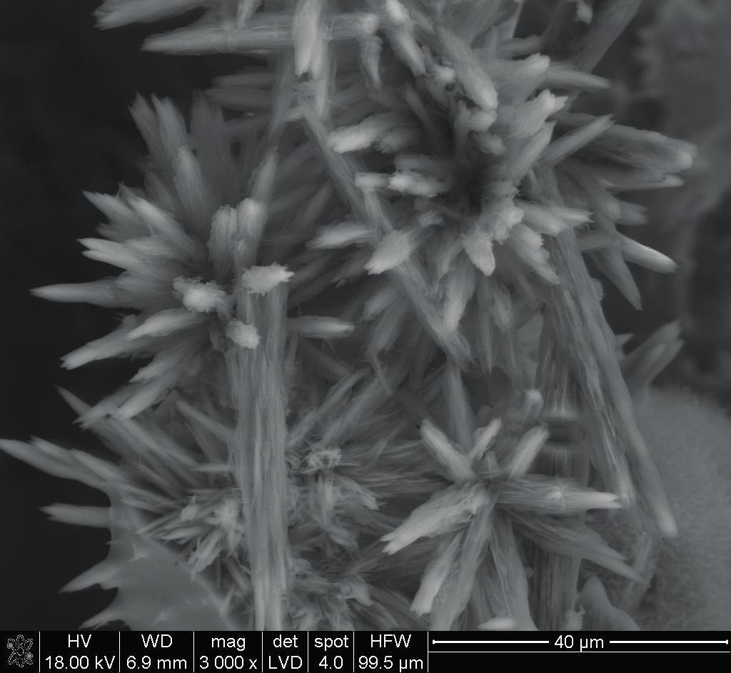 Microstructure of mix 3 after autoclaving, rich in conglomerates of scawtite needles for example point 1, and in upper part the area filled with needles of C-S-H obróbce w temperaturze 180 C przez 10