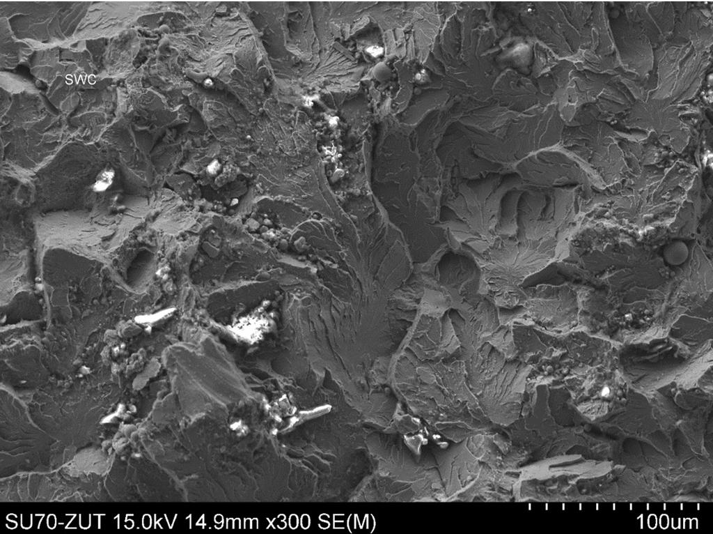 Pearlite structure tram rails broken during thermite welding in cross-section of P2p (Fig.6 ), mag. x10 Rys. 6.