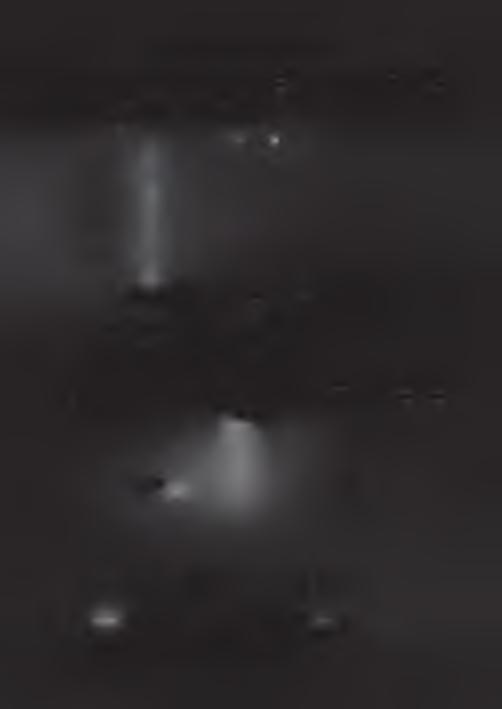 266 K arina Janisz, Justyna Biel, A nna M ikulec Z k o l e i p r e f e r o w a n e s t a c j e p a l i w w ś r ó d a n k i e t o w a n y c h, k t ó r z y n i e p o s i a d a j ą s a m o c h o d u s ł