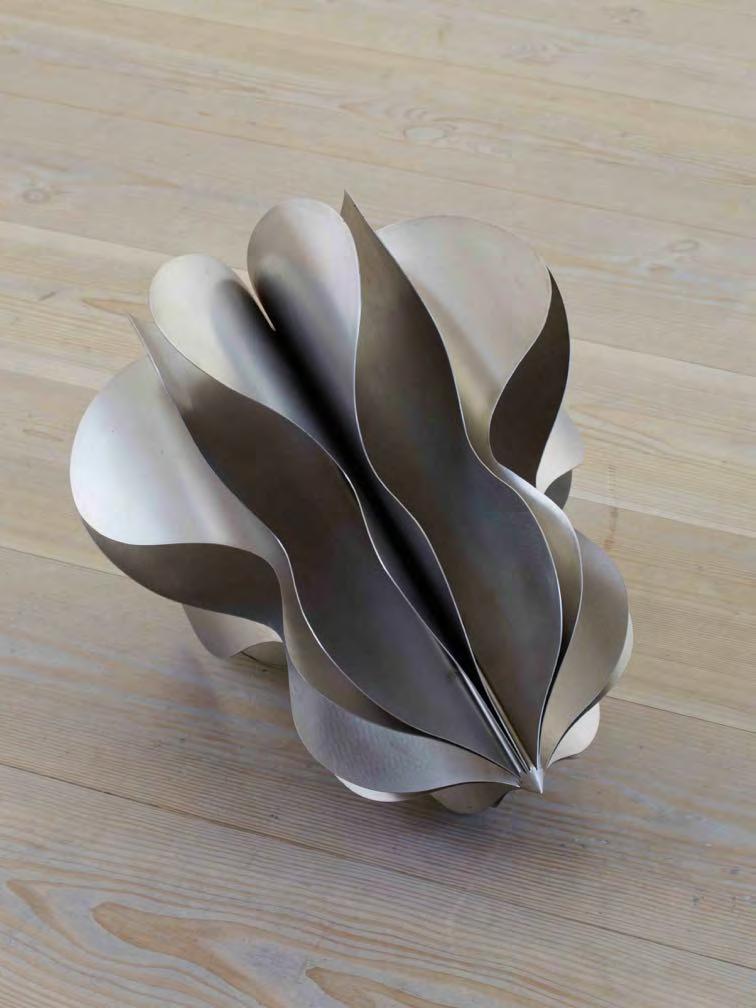 Stainless Steel Seed