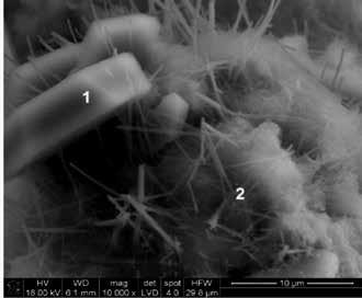 Powiększenie 1000x; b) EDS w punkcie 1 a) b) c) Fig. 3. The microstructure of mortar C3 after 28 days of hardening in normal conditions (water): a) SEM.