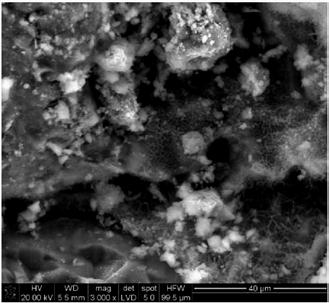 THE INFLUENCE OF CEMENT BYPASS DUST ON THE PROPERTIES OF CEMENT CURING UNDER NORMAL AND AUTOCLAVE CONDITIONS Fig. 4.
