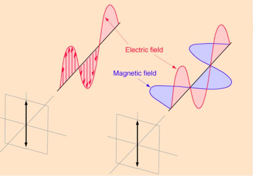 Polaryzacja liniowa E B k http://webphysics.davidson.