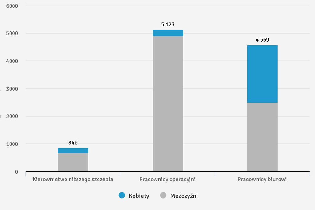 Pracowników zatrudnionych na umowę o pracę - w podziale na kategorie pracownicze i płeć (stan na 31 grudnia 2017 r.