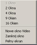 6.4.1 Okna Video Umożliwia wyświetlenie ekranu z podziałem na kilka okien, gdzie w każdym z nich można umieścić dowolnie wybraną kamerę.
