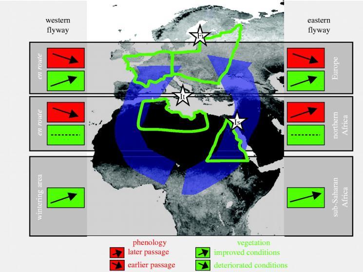 indygowy Hurlbert AH, Liang Z (2012) PLoS ONE 7(2): e31662. doi:10.1371/journal.pone.