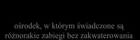 uzdrowisko jako miejsce przeznaczenia klasyczna luksusowa nowego wieku