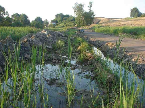 Świerklany, 16.VI.2008.