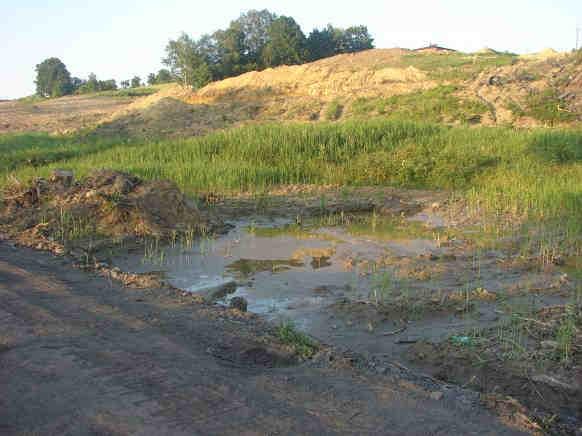 Świerklany, 16.VI.2008.