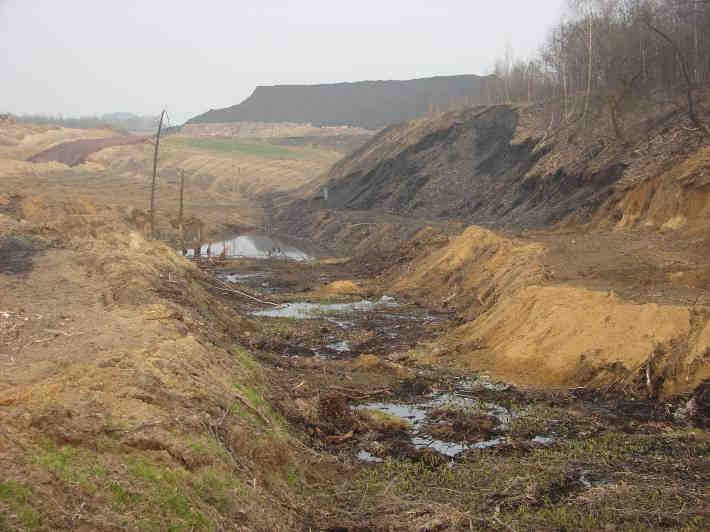 Skrzyszów 5.IV.