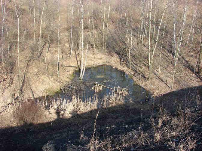 Skrzyszów, luty 2008.