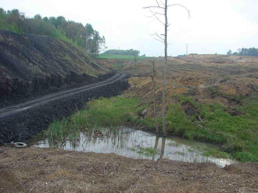 Skrzyszów 4.V.