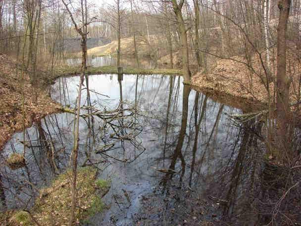 Znaleziona