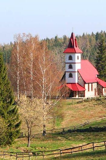 Śpiewnik doświadczonego Borowika (i młodej