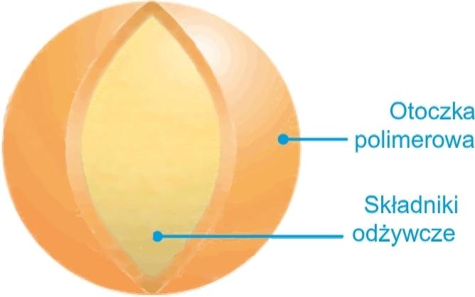 5% Tlenek potasu (K2O) Rozpuszczalny w wodzie Mikroelementy 0,50% Cu, 2% Fe, 1% Mn, 0,45% Zn Sposób działania Nawóz Bar Fertile jest mieszanką powlekanych i niepowlekanych surowców.