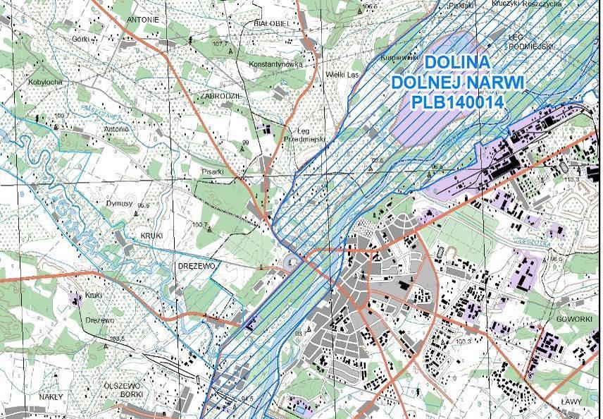 I Dyrektywy Ptasiej (wg danych z SFD, 2017). Jest to bardzo ważna ostoja ptaków wodno-błotnych, szczególnie w okresie lęgowym.