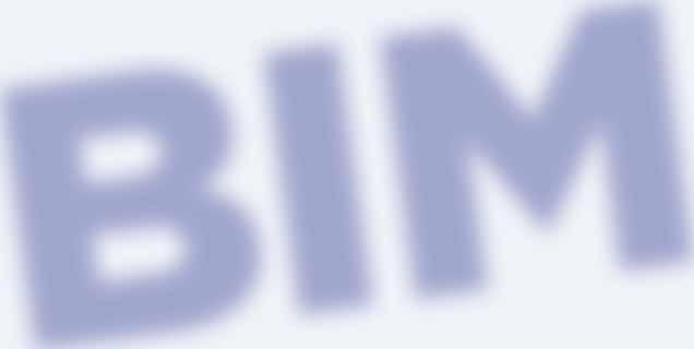 Zaprezentowane zostaną etapy rozwoju technologii BIM, wielowymiarowość cyfrowych modeli obiektów budowlanych w kontekście zawartych w nich informacji oraz zagadnienia związane z wykorzystaniem BIM-u