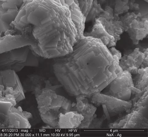 Analiza możliwości oczyszczania gazów wylotowych z Hg 0 i CO 2 1311 Rys. 2. Analiza SEM-EDS zeolitu Ag-X Fig. 2. SEM-EDS analysis of Ag-X zeolite 4.2. Charakterystyka teksturalna Parametry teksturalne badanych zeolitów przedstawia tabela 1.