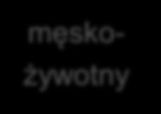 rodzaju