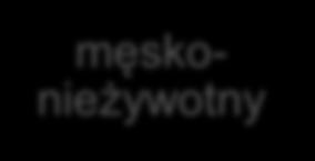 Żeński Nieżeński