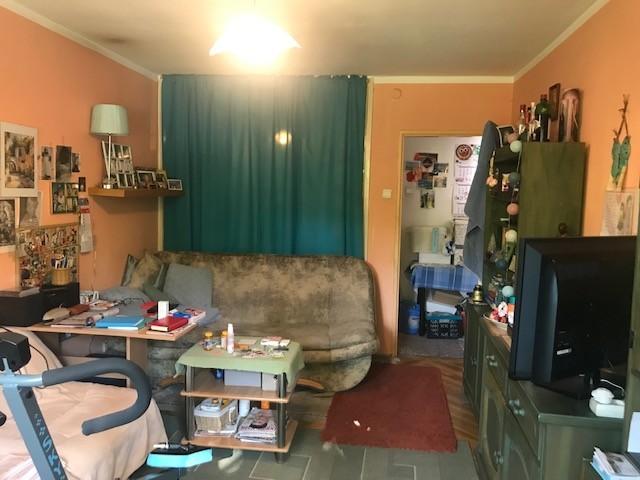 tel. 730 800 273, zapytanie@magichouse24.