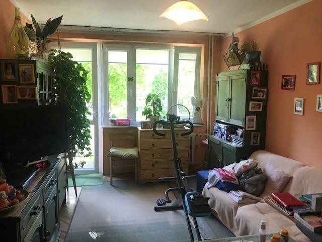 tel. 730 800 273, zapytanie@magichouse24.