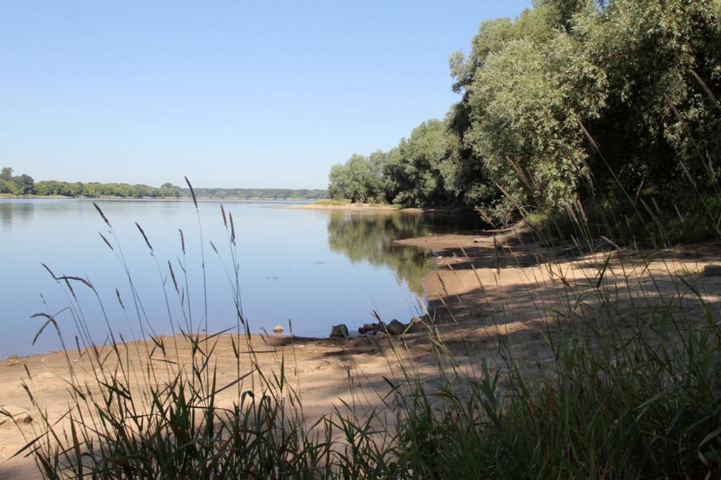 Brzeg Wisły (fot.