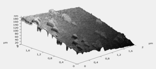 Obrazy AFM 2D/3D 2µm x 2µm warstwy
