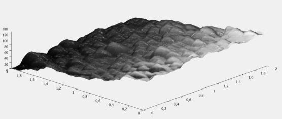 AFM 2D/3D 2µm x 2µm images of the
