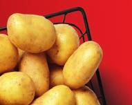 rodzaje 380 g (=100 G