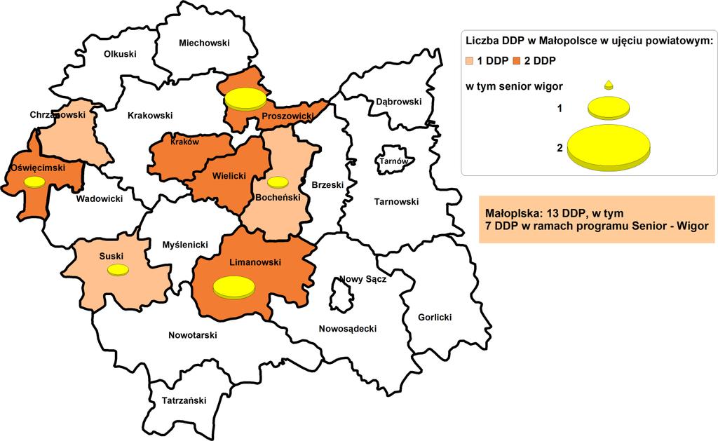 Dzienne domy pomocy w Małopolsce w 2016 r.