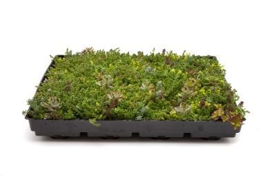 Produkt Prosty system Nature Impact Roof to system zbudowany z modułów, który w szybki i prosty